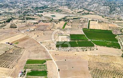CB MARİNA'DAN HACIBAYRAMLAR MAH. SATILIK 2780 M2 "TARLA"