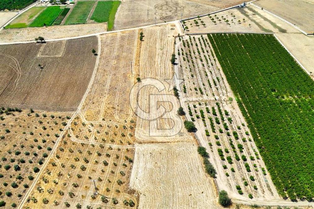 CB MARİNA'DAN HACIBAYRAMLAR MH. SATILIK 4.777 M2 "TARLA"
