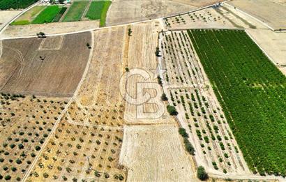 CB MARİNA'DAN HACIBAYRAMLAR MH. SATILIK 4.777 M2 "TARLA"