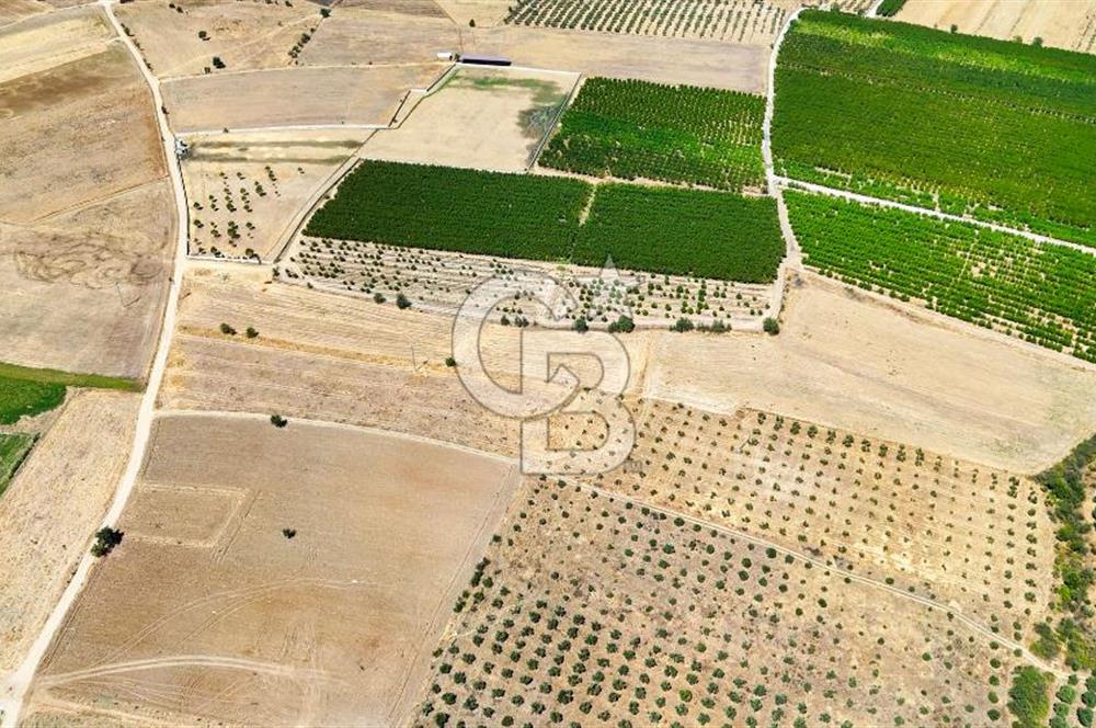 CB MARİNA'DAN HACIBAYRAMLAR MH. SATILIK 4.777 M2 "TARLA"