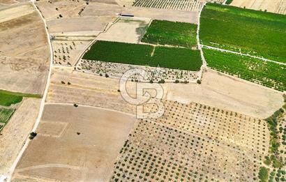 CB MARİNA'DAN HACIBAYRAMLAR MAH. SATILIK 2780 M2 "TARLA"