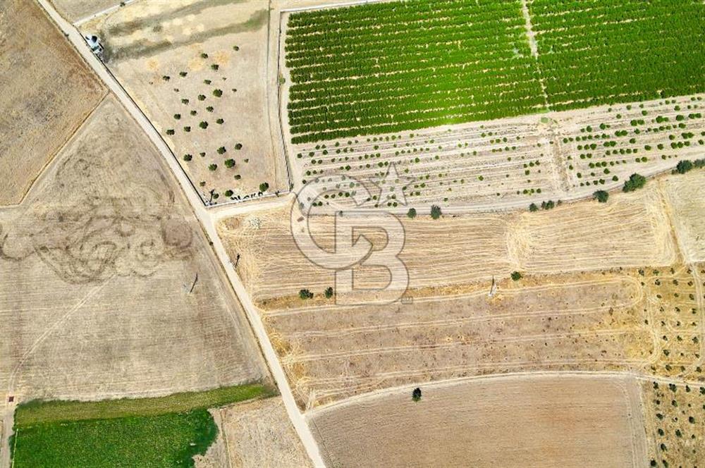 CB MARİNA'DAN HACIBAYRAMLAR MH. SATILIK 4.777 M2 "TARLA"