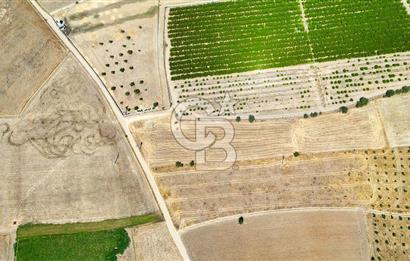 CB MARİNA'DAN HACIBAYRAMLAR MH. SATILIK 4.777 M2 "TARLA"