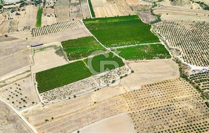 CB MARİNA'DAN HACIBAYRAMLAR MAH. SATILIK 2780 M2 "TARLA"