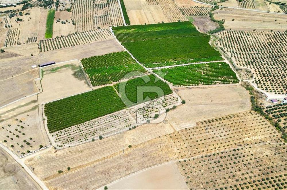 CB MARİNA'DAN HACIBAYRAMLAR MH. SATILIK 4.777 M2 "TARLA"