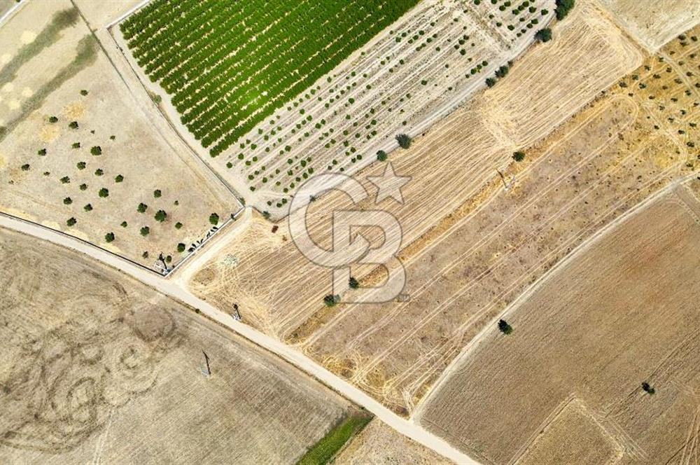 CB MARİNA'DAN HACIBAYRAMLAR MH. SATILIK 4.777 M2 "TARLA"