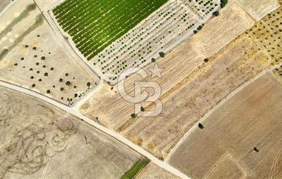 CB MARİNA'DAN HACIBAYRAMLAR MH. SATILIK 4.777 M2 "TARLA"