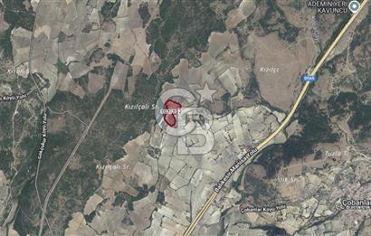 Manisa Kırkağaçta 16 Dönüm Fırsat Satılık Zeytinli Tarla