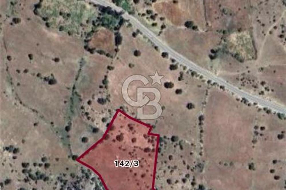 KONYA DEREBUCAK GENCEK MAHALLESİNDE SATILIK 8550 M2 TEK TAPU TARLA
