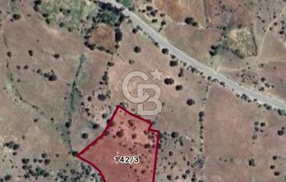 KONYA DEREBUCAK GENCEK MAHALLESİNDE SATILIK 8550 M2 TEK TAPU TARLA