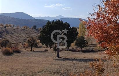 KONYA DEREBUCAK GENCEK MAHALLESİNDE SATILIK 8550 M2 TEK TAPU TARLA