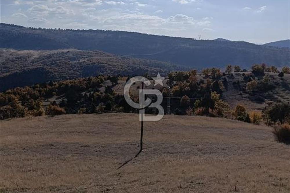 KONYA DEREBUCAK GENCEK MAHALLESİNDE SATILIK 8550 M2 TEK TAPU TARLA