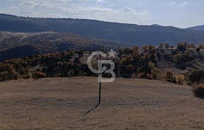 KONYA DEREBUCAK GENCEK MAHALLESİNDE SATILIK 8550 M2 TEK TAPU TARLA