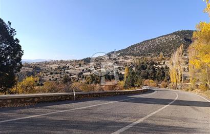 KONYA DEREBUCAK GENCEK MAHALLESİNDE SATILIK 8550 M2 TEK TAPU TARLA