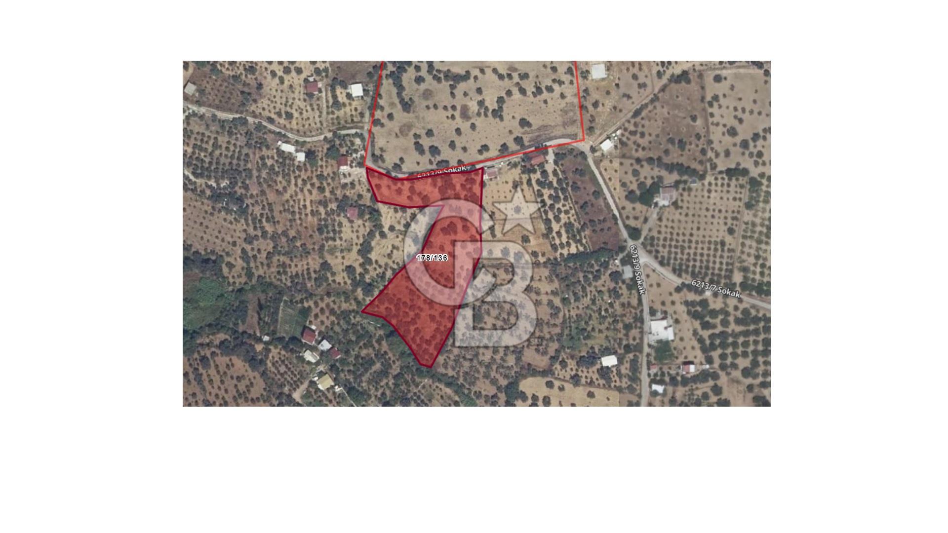 CB YALI'DAN TORBALI'DA KADASTRAL YOLA CEPHELİ ZEYTİNLİ TARLA