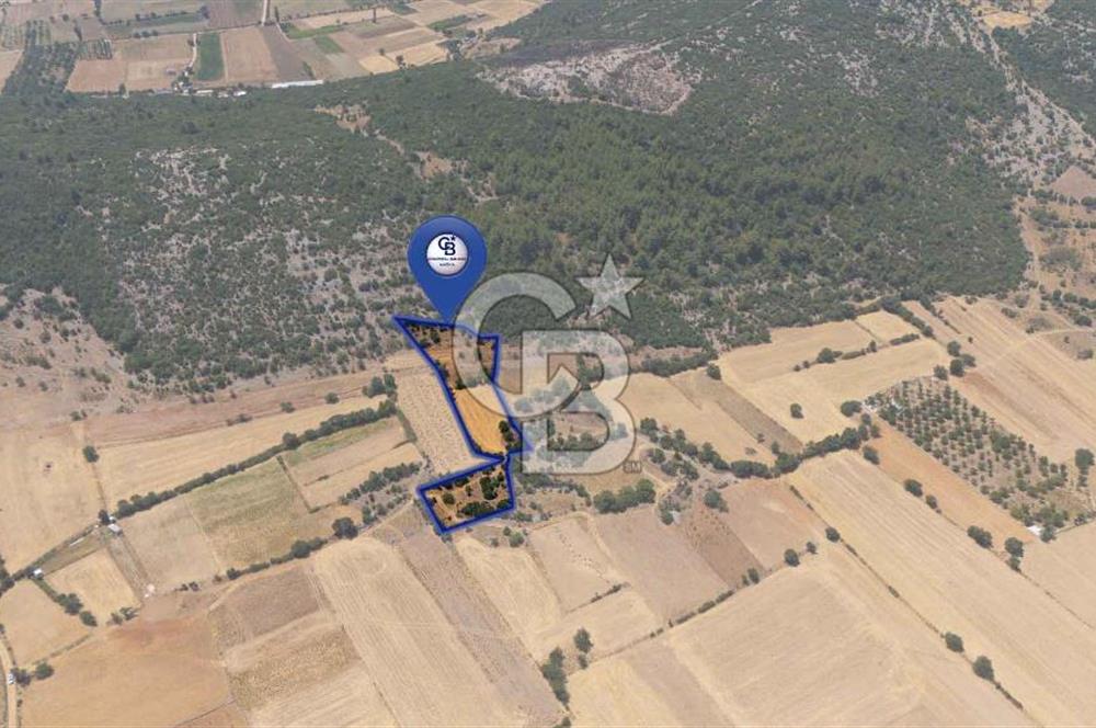 AKKAYA'DA YATIRIM FIRSATI; TARIMA ELVERİŞLİ VERİMLİ "TARLA"