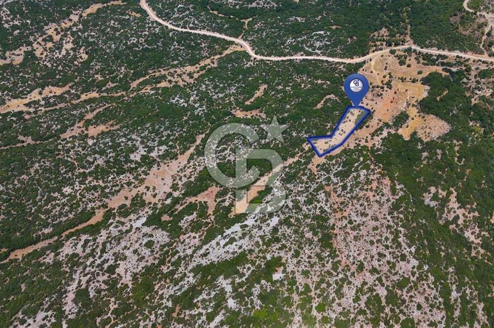 AKKAYA'DA GELİŞEN BÖLGEDE, YATIRIMLIK ORMAN İÇİNDE UYGUN "TARLA"