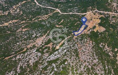 AKKAYA'DA GELİŞEN BÖLGEDE, YATIRIMLIK ORMAN İÇİNDE UYGUN "TARLA"