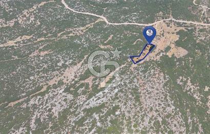 AKKAYA'DA GELİŞEN BÖLGEDE, YATIRIMLIK ORMAN İÇİNDE UYGUN "TARLA"