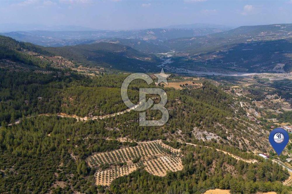 ESENÇAY'DA DOĞAL-KÖY YAŞAMI İSTEYENLERE YATIRIM FIRSATI "TARLA"
