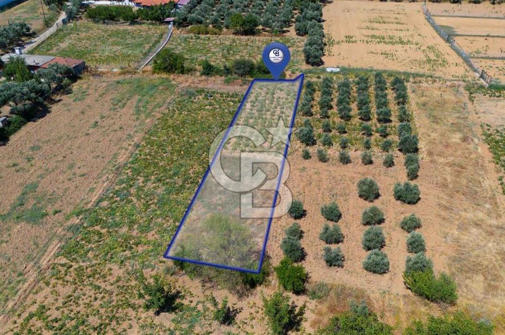 AKKAYA'DA MAHALLE YERLEŞİMİNE YAKIN; FIRSAT PORTFÖYÜ "TARLA"