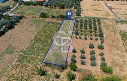 AKKAYA'DA MAHALLE YERLEŞİMİNE YAKIN; FIRSAT PORTFÖYÜ "TARLA"