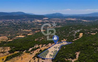 AKKAYA'DA GELİŞEN BÖLGEDE, YATIRIMLIK ORMAN İÇİNDE UYGUN "TARLA"