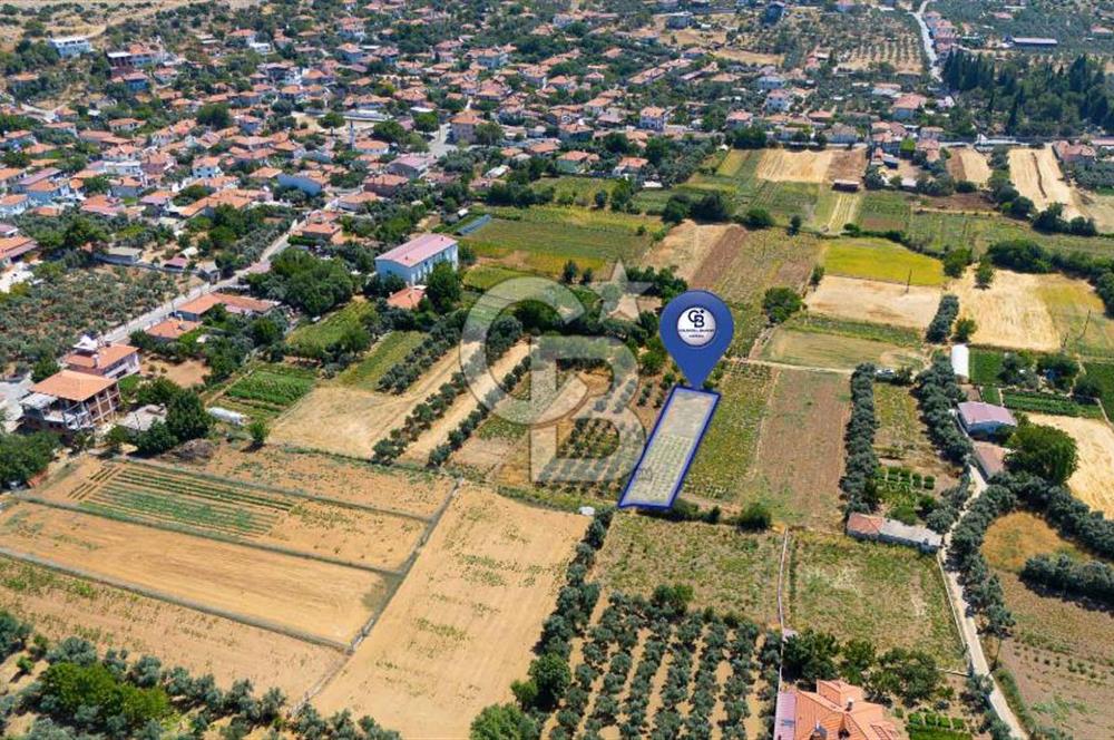 AKKAYA'DA MAHALLE YERLEŞİMİNE YAKIN; FIRSAT PORTFÖYÜ "TARLA"