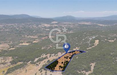 AKKAYA'DA GELİŞEN BÖLGEDE, YATIRIMLIK ORMAN İÇİNDE UYGUN "TARLA"