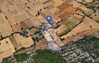 AKKAYA'DA YATIRIM FIRSATI; TARIMA ELVERİŞLİ VERİMLİ "TARLA"