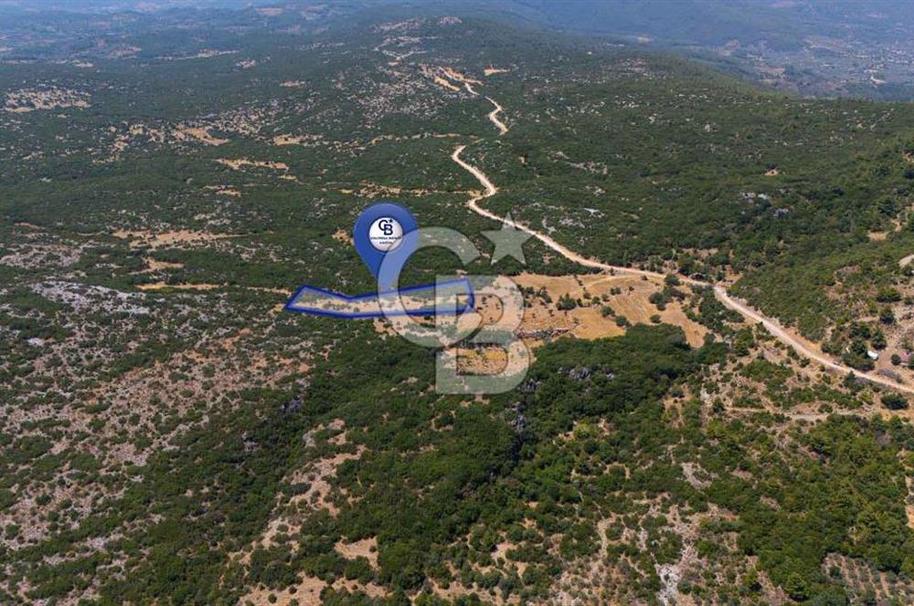 AKKAYA'DA GELİŞEN BÖLGEDE, YATIRIMLIK ORMAN İÇİNDE UYGUN "TARLA"