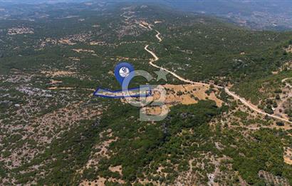 AKKAYA'DA GELİŞEN BÖLGEDE, YATIRIMLIK ORMAN İÇİNDE UYGUN "TARLA"