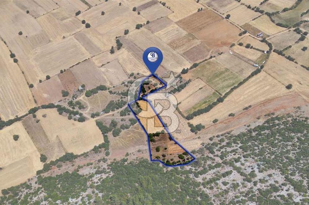 AKKAYA'DA YATIRIM FIRSATI; TARIMA ELVERİŞLİ VERİMLİ "TARLA"