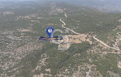 AKKAYA'DA GELİŞEN BÖLGEDE, YATIRIMLIK ORMAN İÇİNDE UYGUN "TARLA"