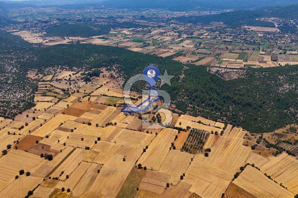 AKKAYA'DA YATIRIM FIRSATI; TARIMA ELVERİŞLİ VERİMLİ "TARLA"