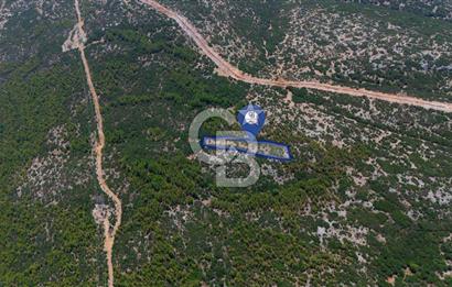 AKKAYA YENİ SANAYİ SİT. - KONUT ALANINA YAKIN YATIRIMLIK "TARLA"