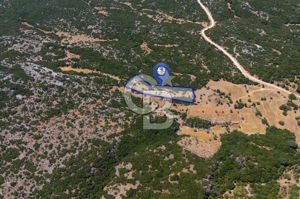 AKKAYA'DA GELİŞEN BÖLGEDE, YATIRIMLIK ORMAN İÇİNDE UYGUN "TARLA"