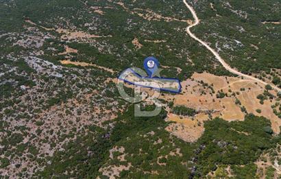 AKKAYA'DA GELİŞEN BÖLGEDE, YATIRIMLIK ORMAN İÇİNDE UYGUN "TARLA"