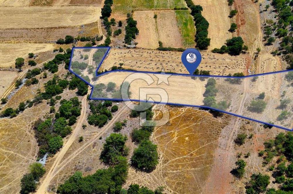 AKKAYA'DA YATIRIM FIRSATI; TARIMA ELVERİŞLİ VERİMLİ "TARLA"