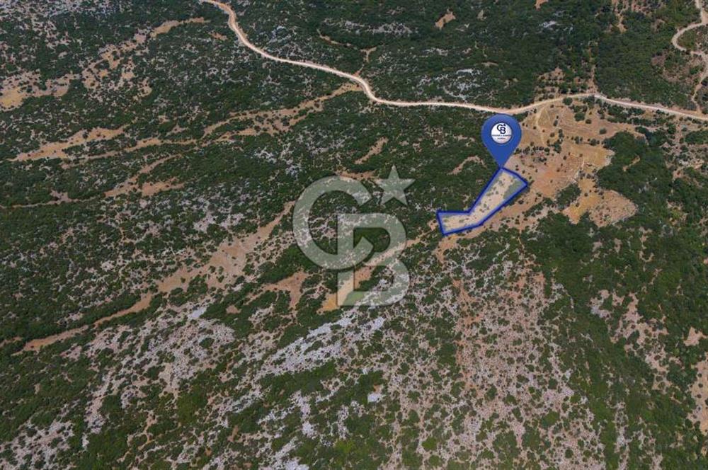 AKKAYA'DA GELİŞEN BÖLGEDE, YATIRIMLIK ORMAN İÇİNDE UYGUN "TARLA"