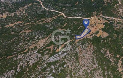 AKKAYA'DA GELİŞEN BÖLGEDE, YATIRIMLIK ORMAN İÇİNDE UYGUN "TARLA"