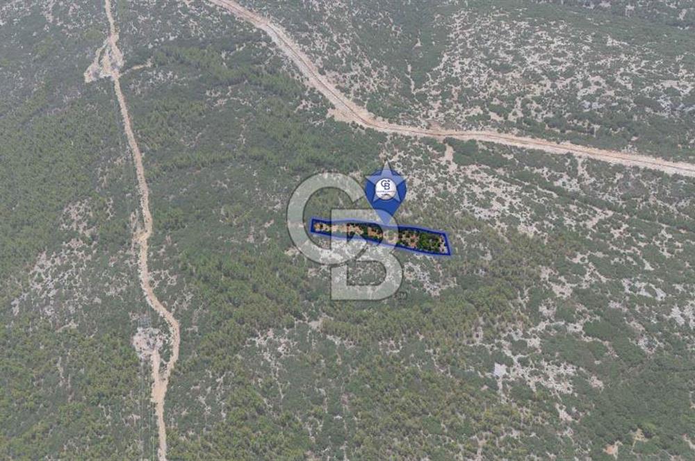 AKKAYA YENİ SANAYİ SİT. - KONUT ALANINA YAKIN YATIRIMLIK "TARLA"