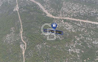 AKKAYA YENİ SANAYİ SİT. - KONUT ALANINA YAKIN YATIRIMLIK "TARLA"