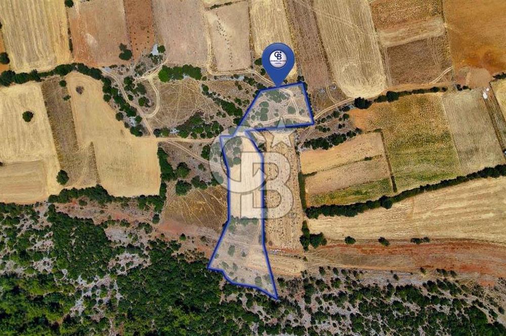 AKKAYA'DA YATIRIM FIRSATI; TARIMA ELVERİŞLİ VERİMLİ "TARLA"