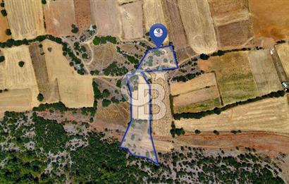 AKKAYA'DA YATIRIM FIRSATI; TARIMA ELVERİŞLİ VERİMLİ "TARLA"