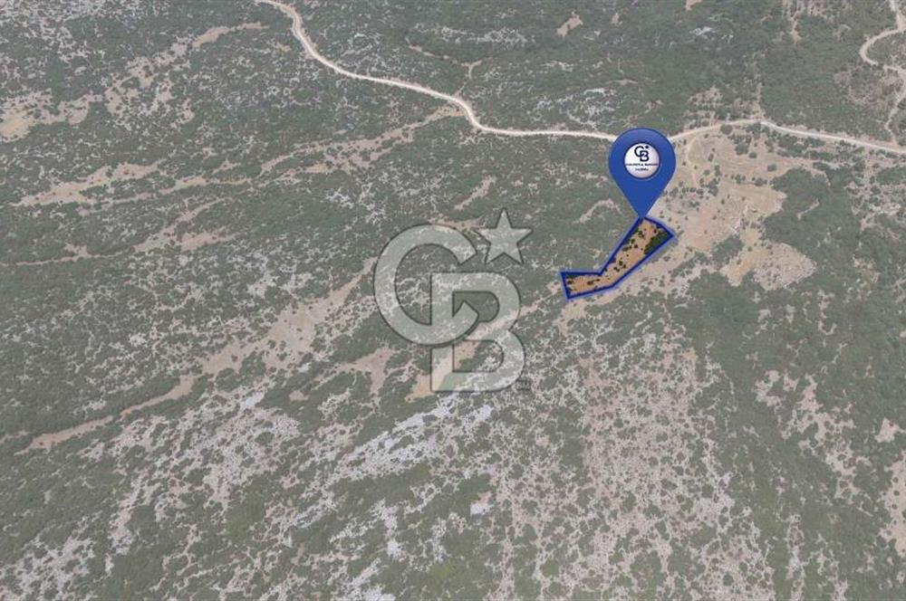 AKKAYA'DA GELİŞEN BÖLGEDE, YATIRIMLIK ORMAN İÇİNDE UYGUN "TARLA"