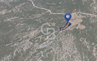 AKKAYA'DA GELİŞEN BÖLGEDE, YATIRIMLIK ORMAN İÇİNDE UYGUN "TARLA"