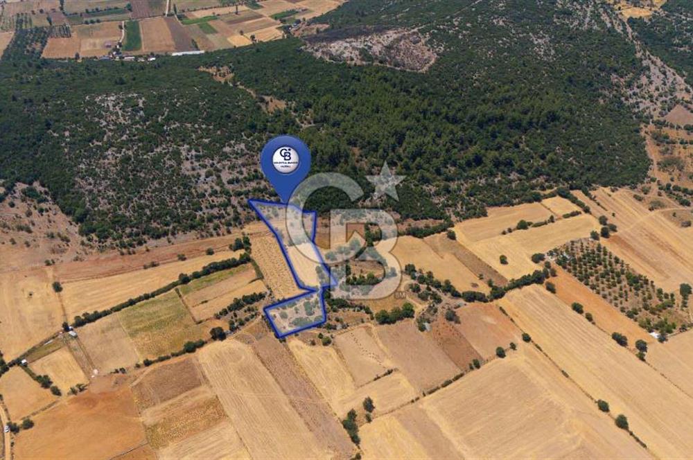 AKKAYA'DA YATIRIM FIRSATI; TARIMA ELVERİŞLİ VERİMLİ "TARLA"