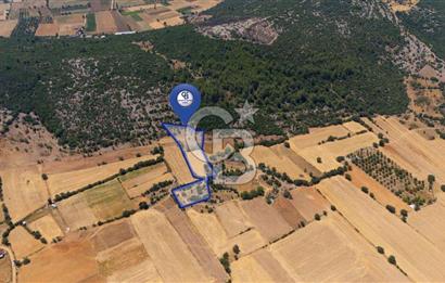 AKKAYA'DA YATIRIM FIRSATI; TARIMA ELVERİŞLİ VERİMLİ "TARLA"