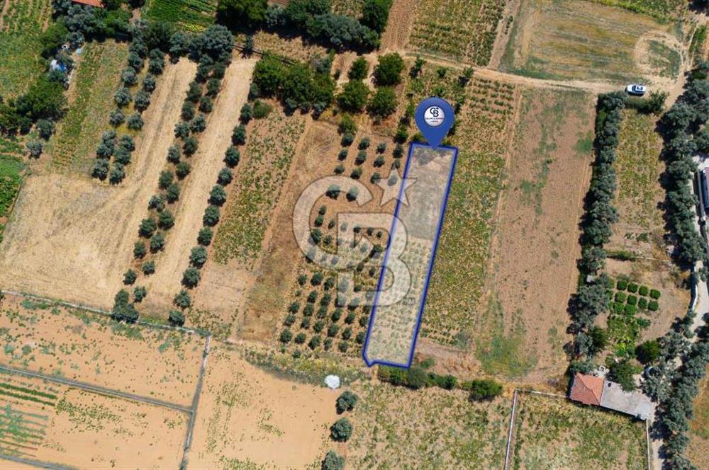 AKKAYA'DA MAHALLE YERLEŞİMİNE YAKIN; FIRSAT PORTFÖYÜ "TARLA"